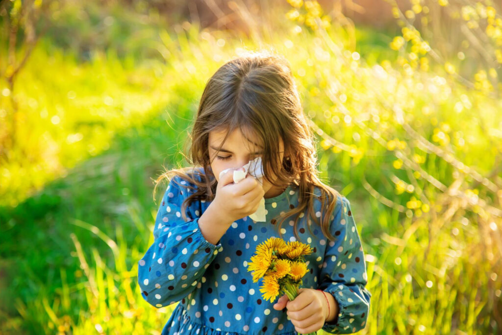 Почему возникает аллергия на амброзию